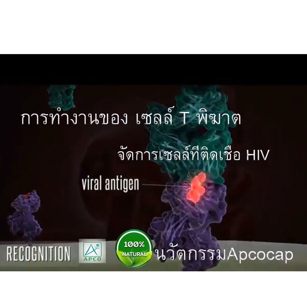 การทำงานของเซลล์ T พิฆาต จัดการเซลล์ที่ติดเชื้อ HIV ผลงานวิจัย Operation bim (APCOCAP)